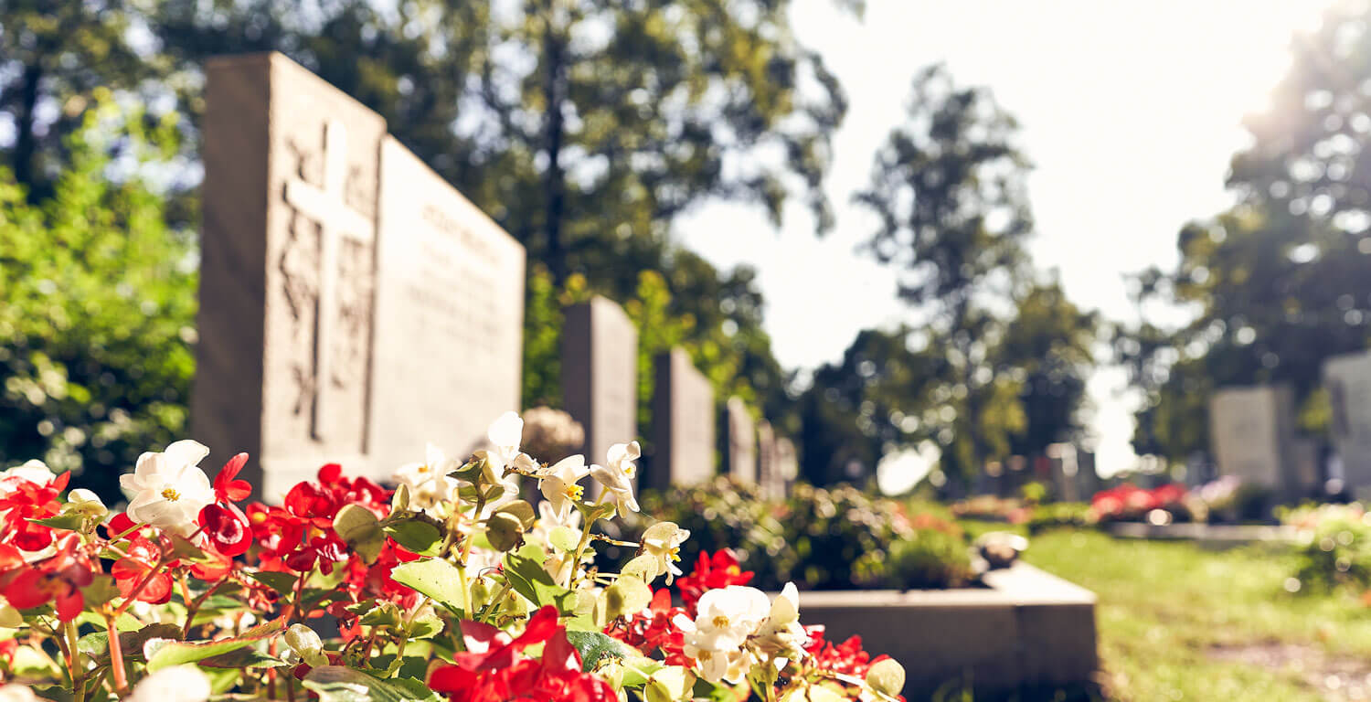 Friedhof(1) Friedhof(1)