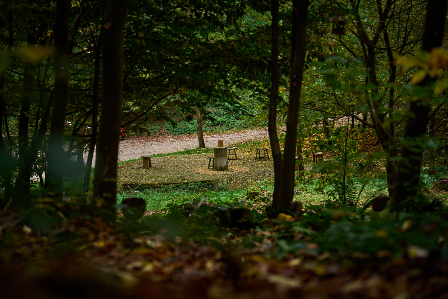 Waldweg mit Bänken im Naturfriedhof Eremia bei Landshut