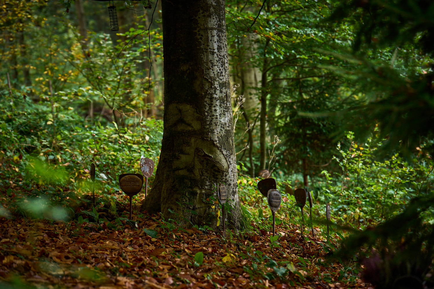 Gemeinschaftsbaum mit Namenstafeln im TrauerPark Eremia – Baumbestattung bei Landshut